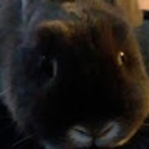 Meet your Posher, Aubrey